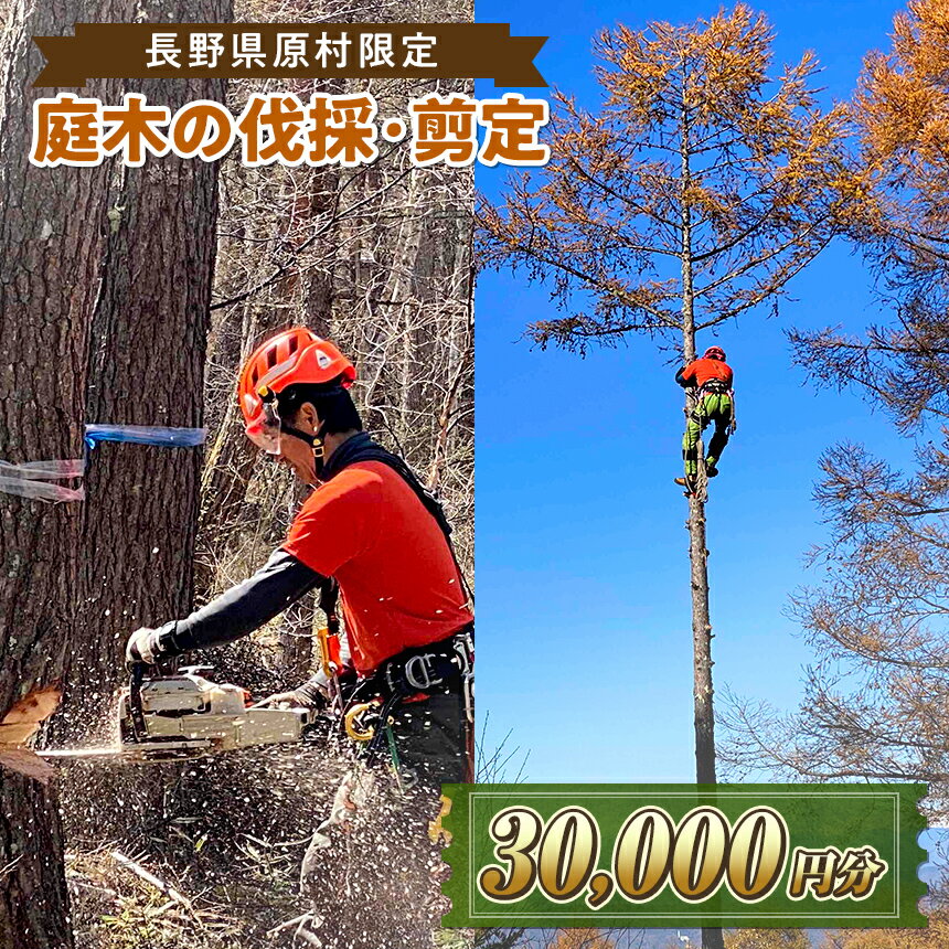 【ふるさと納税】【原村限定】庭木の伐採・剪定サービス 30,000円分 | 庭木 お手入れ 庭 ガーデニング 剪定 伐採 別荘 自宅 空き家 サービス プレゼント 長野県 諏訪郡 原村