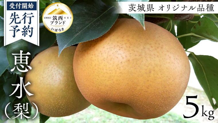 【 先行予約 】 茨城県 オリジナル 品種の 恵水 ( 梨 ) 5kg 2026年産 果物 フルーツ なし ナシ 赤梨 贈り物 贈答 贈答用 [AE024ci]