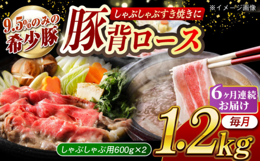 【月1回約1.2kg×6回定期便】大西海SPF豚 背ロース（しゃぶしゃぶ用）計約7.2kg 長崎県/長崎県農協直販 [42ZZAA078]