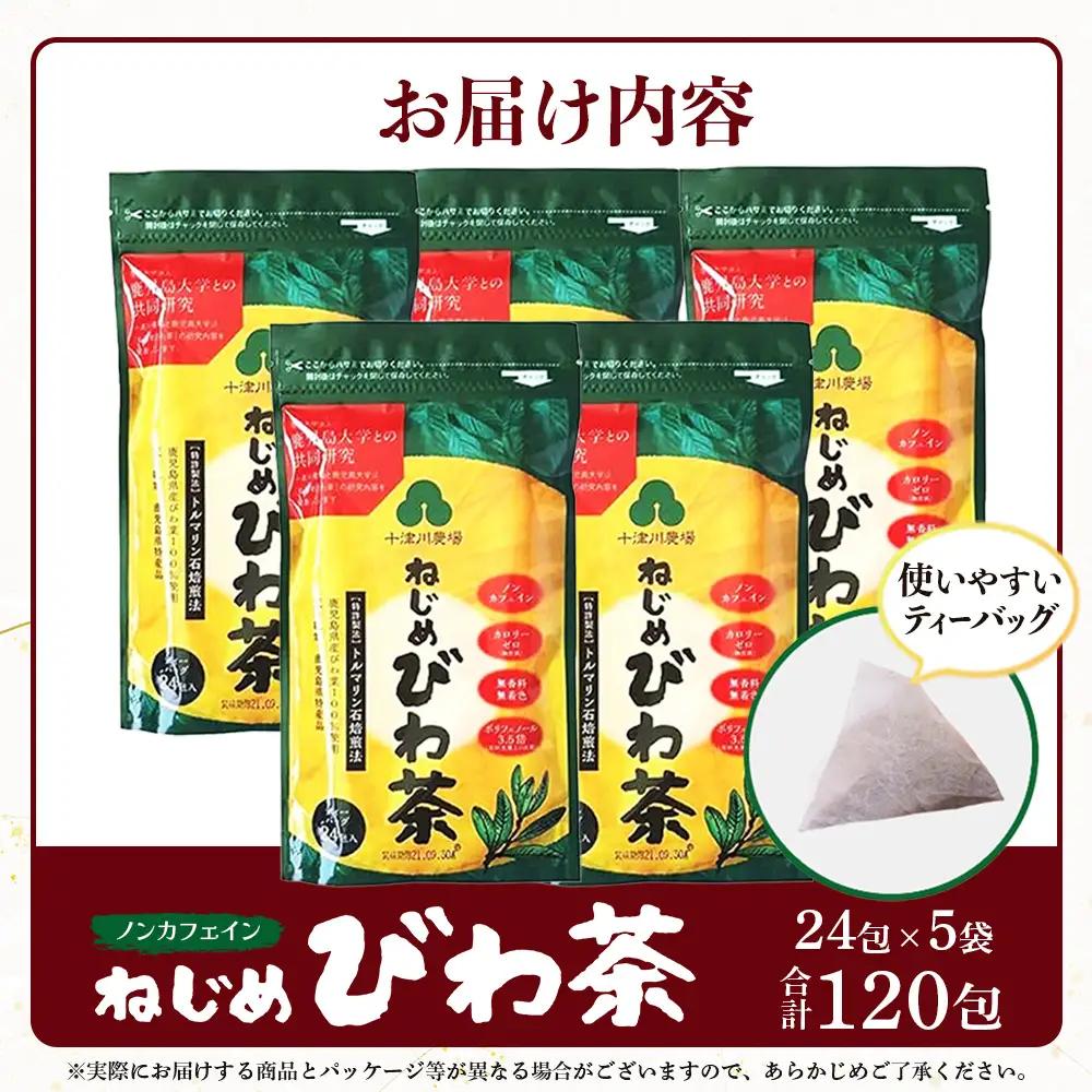 【スピード発送】鹿児島県産 ねじめびわ茶 ティーバッグ（24包入×5袋）ノンカフェインTO-501-NP | 最短 7日以内 1週間以内 国産 お茶 健康茶 カロリーゼロ ポリフェノール 無香料 無着