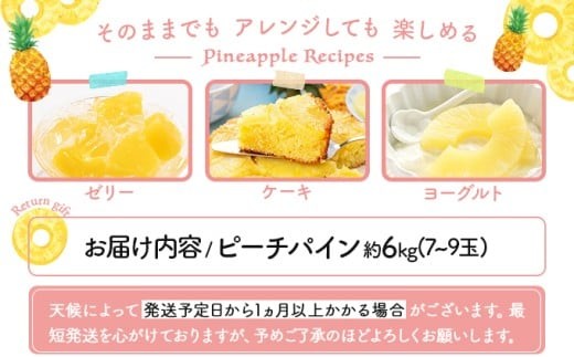 2026年 先行予約 ピーチパイン 約6kg 7～9玉 甘熟 西表島ふる～つらんど 不動の人気No.1 果物 フルーツ パイン