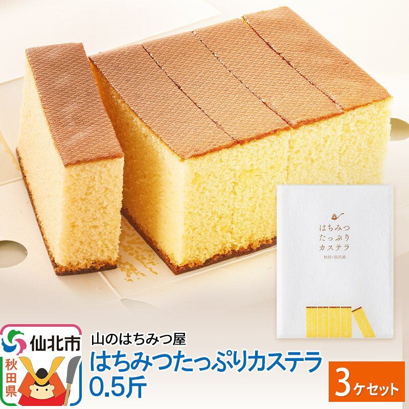 【ふるさと納税】はちみつたっぷりカステラ 0.5斤 3個 セット 山のはちみつ屋 [はちみつ ハチミツ 蜂蜜]