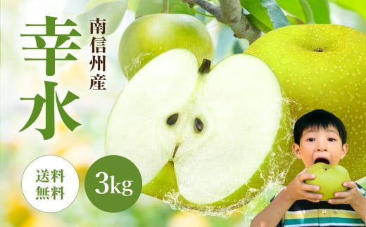 南信州産 梨【幸水】3kg | 果物 フルーツ 果実 なし 和梨 梨 幸水 長野県 飯田市 信州