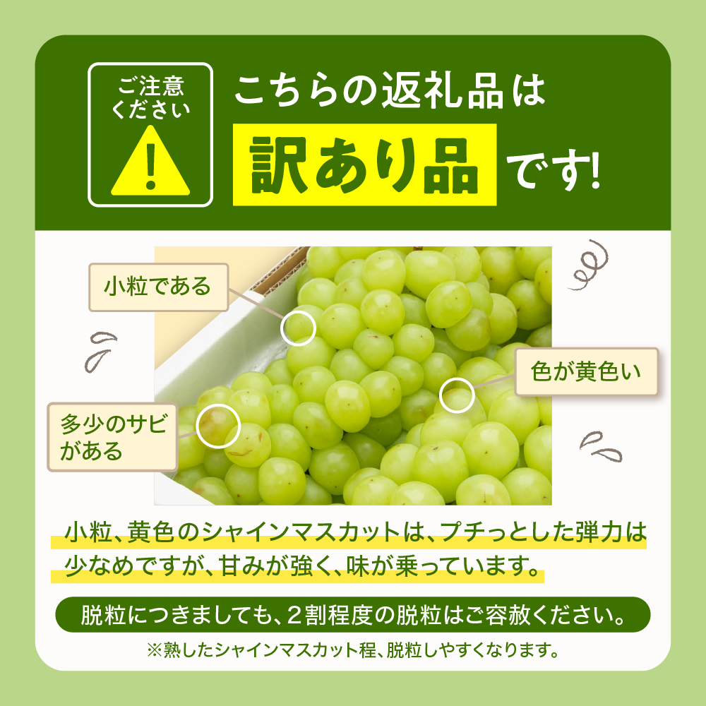 2025年ぶどう「訳ありシャインマスカット」2kg（3～5房）東根農産センター提供 山形県 東根市 hi027-182-1