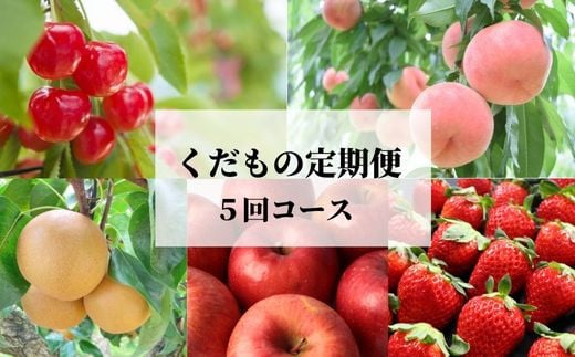 
            No.2512 くだもの定期便【Bコース/全5回】【2025年発送】
          