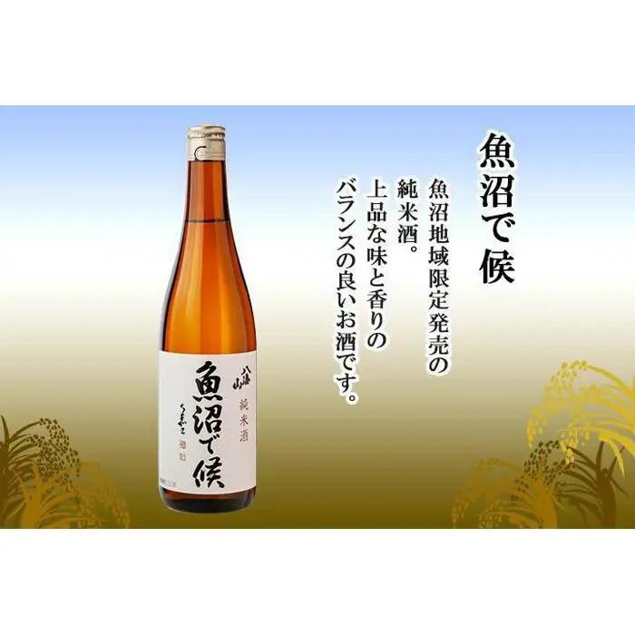 八海山 日本酒 魚沼 地域限定 2選 飲み比べ 各720ml 南魚沼市【八海山 純米大吟醸 魚沼で候 四合瓶 飲み比べ 日本酒 2本 セット 720ml 新潟 地酒 厳選 晩酌 熱燗 お酒 酒 さけ 