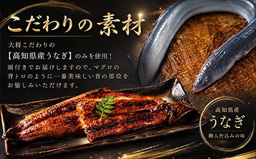 70年継ぎ足しの秘伝のたれ！初音の厳選高知県産うなぎ蒲焼き3尾 ＿ 国産 ウナギ 鰻 うなぎ 蒲焼き 秘伝のタレ 土用の丑の日