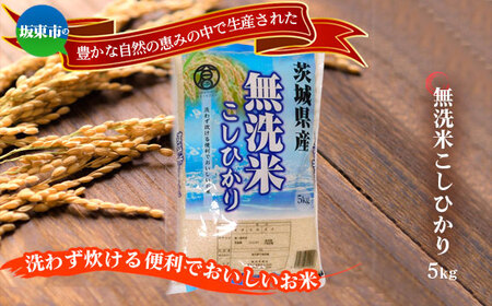 No.862 令和7年産　無洗米こしひかり5kg【坂東市産】 ／ 令和7年 新米 米 お米 こめ コメ 無洗米 精米 白米 ご飯 国産米 5kg 5キロ コシヒカリ こしひかり 甘み 粘り 香り ツヤ