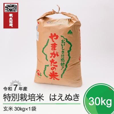 ふるさと納税 大石田町 新米 米 はえぬき 30kg 令和7年産 【2025年12月上旬発送】山形県産 特別栽培米 玄米