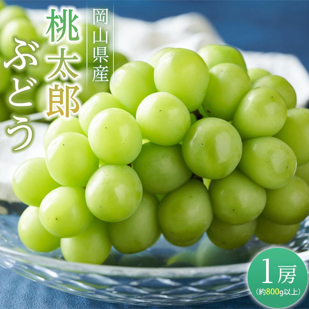 【ふるさと納税】ぶどう 2026年 桃太郎 ぶどう 1房（1房800g以上） ブドウ 葡萄 岡山県産 国産 フルーツ 果物 ギフト | フルーツ 果物 くだもの 食品 人気 おすすめ 送料無料