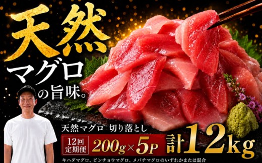 【12回定期便】天然マグロ切り落とし 200g×5P│天然マグロ 切り落とし 刺身 マグロ丼 冷凍 高知県 ふるさと納税 キハダマグロ ビンチョウマグロ メバチマグロ 海鮮 お取り寄せ グルメ 時短 簡単調理 解凍するだけ 一口サイズ 手巻き寿司 具材 ユッケ カルパッチョ 漬け丼 おかず おつまみ ギフト 贈答 贅沢 人気 おすすめ 産地直送 新鮮 晩酌 魚介