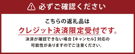 訳あり りんご（はるか） 約10kg ／りんご 林檎 果物 くだもの フルーツ 岩手県産 【2025年12月下旬－2026年1月下旬発送予定】