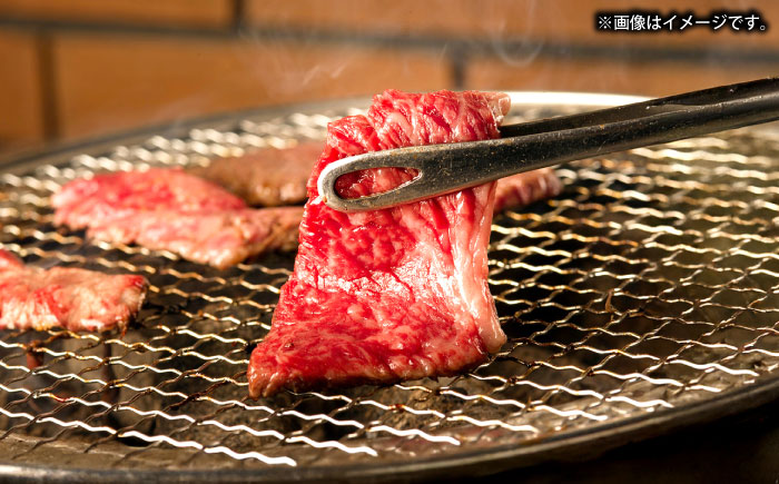 【全6回定期便】壱岐牛モモ＆壱岐牛カレー中辛セット《壱岐市》【壱岐フードファクトリー】カレー モモ 焼き肉 壱岐牛 [JDW132]