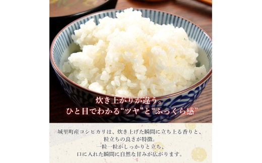 【9カ月定期便】コシヒカリ 10kg（茨城県共通返礼品・城里町産） / 米 こめ コメ お米 おこめ コシヒカリ こしひかり 白米 精米 ごはん ご飯 令和7年産 10kg 定期便 茨城県 城里町 利