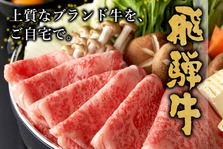 飛騨牛 ロースまたは肩ロース すき焼き・しゃぶしゃぶ用 360g 牛肉 10000円 一万円