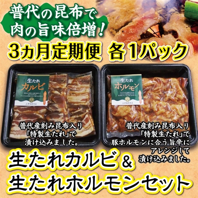 【定期便３ヶ月】普代の昆布でお肉もよろコンブ♪生たれカルビ＆生たれホルモン（各１パック）×３ケ月連続お届け