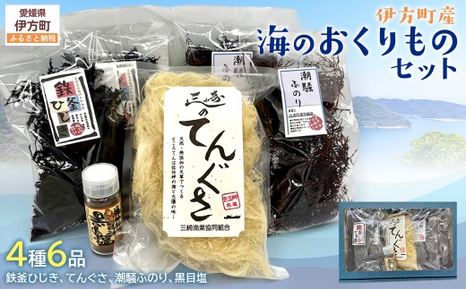 伊方町産 海のおくりものセット  【ふるさと納税 人気 おすすめ ランキング ひじき てんぐさ 黒目塩 潮騒ふのり 海藻 詰合せ 愛媛県 伊方町 送料無料】 IKTO009