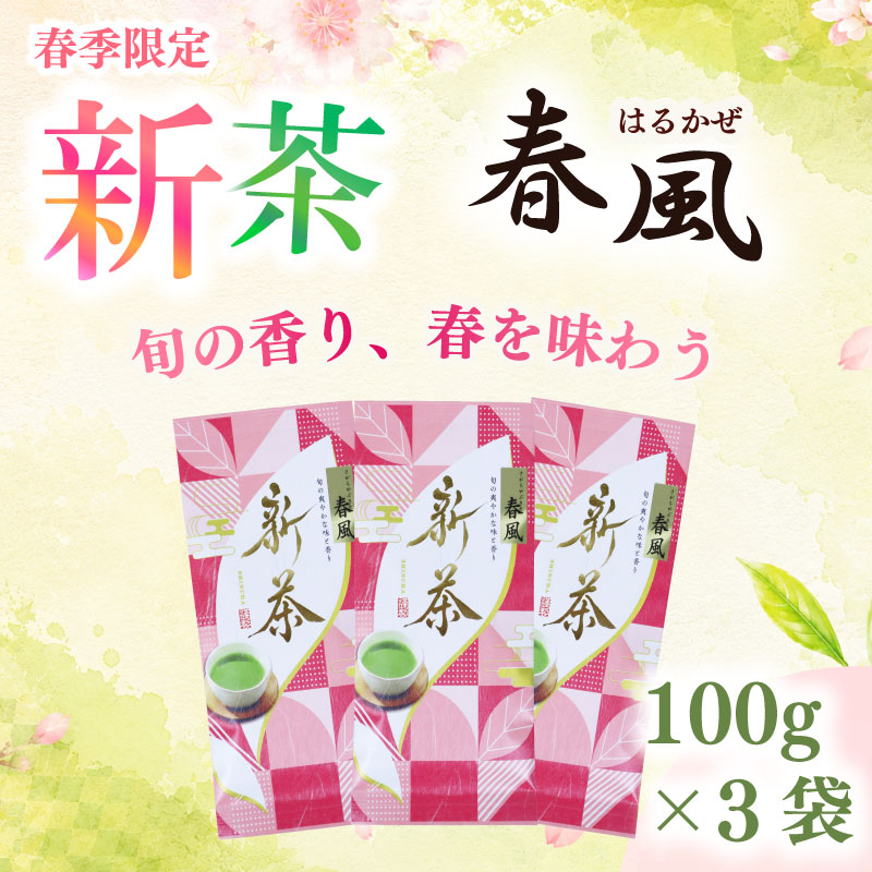 2026年度産 新茶  春風100g×3袋 お茶 静岡 新茶 静岡 県 牧之原市 相良物産 春風100g×3袋