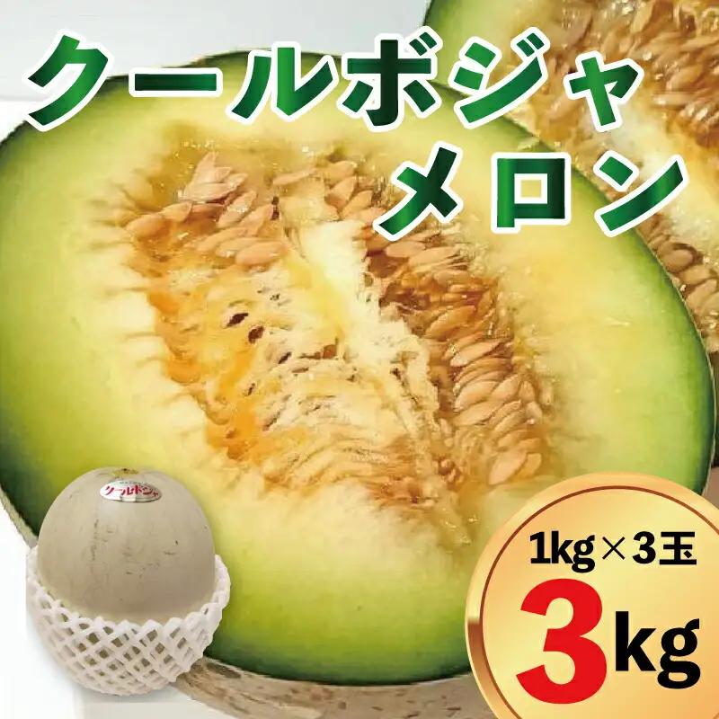 メロン 3kg 3玉 クールボジャ 希少種 メロン