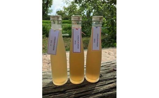 
            LOGLOG★GINGER【12月下旬～1月初旬発送開始】《南砺の逸品》
          