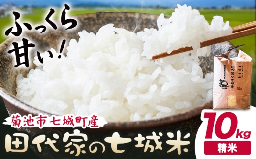 令和7年産 菊池市七城町産 田代家の七城米 七城ヒノヒカリ精米 10kg 田代こめや《30日以内に出荷予定(土日祝除く)》熊本県 菊池市 米 お米 精米 ひのひかり 菊池市産 熊本県産 九州産 送料無料