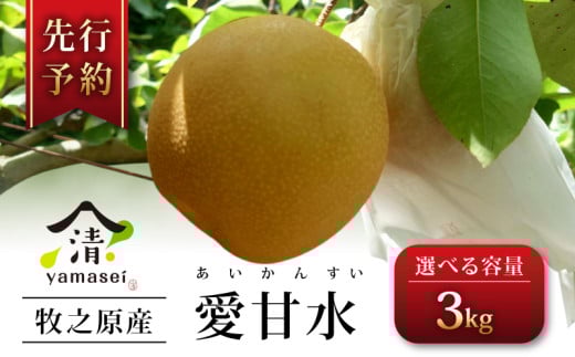 【2026年度産】 梨 愛甘水 3kg 数量限定 令和8年度産 先行予約 7月中旬より順次発送  選べる 容量 期間限定 フルーツ なし ほうすい 果物 デザート 梨 夏 豊水梨 果物梨 和梨 旬 旬の果物 季節の果物 お中元 贈答用 プレゼント ギフト 父の日 箱入り おいしい 人気 国産 産地直送 農家直送 牧之原梨 静岡梨 美味しい 新鮮 お取寄せ 山清 yamasei  静岡県 牧之原市