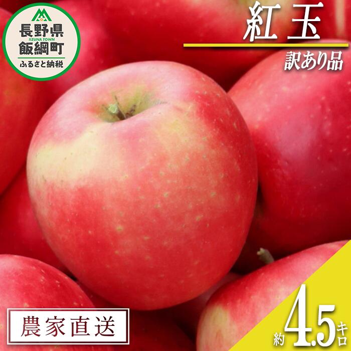 【ふるさと納税】 りんご 紅玉 訳あり 4.5kg 中村ファーム 沖縄県への配送不可 令和7年度収穫分 長野県 飯綱町 〔 傷 不揃い わけあり 信州 果物 フルーツ リンゴ 林檎 長野 13000円 予約 農家直送 〕発送時期：2025年9月中旬〜