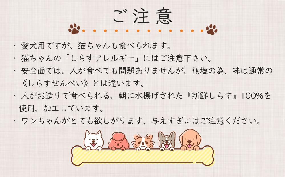 しらす せんべい ( 愛 犬 ワン 友 無添加 無塩 おやつ ) 5P ペット REICAFE 【Rc16】
