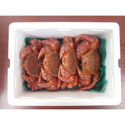 ふるさと納税 陸前高田市 生きたまま発送 毛ガニ 約400g×4匹 陸前高田市産 かに カニ 蟹 活毛ガニ 新鮮 濃厚 天然 |  | 01