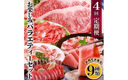 定期便4回配送　お肉とお魚のよくばり定期便　EE0-0001 _ 定期便 牛肉 肉 お肉 サーロイン ステーキ ロース バラ スライス 黒豚 まぐろ 鮪 本マグロ 中トロ かつお 鰹 タタキ かつおのたたき 刺身 焼肉 しゃぶしゃぶ すき焼き ミンチ 切り落とし おすすめ 人気 枕崎市 かつお公社 【1538802】