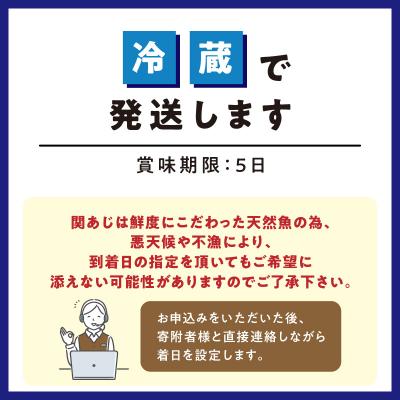 ふるさと納税 大分市 関あじ(鮮魚セット)2尾_E04023 |  | 02