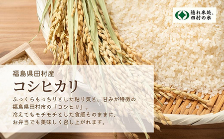 【定期3回】 米 無洗米 令和7年産 コシヒカリ10kg 福島県産 田村市