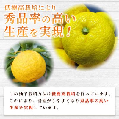 ふるさと納税 西予市 <柚子 優 Lサイズ 54個(18個入り×3箱)> 約6kg 6000g ゆず 国産 果物 フルーツ |  | 02