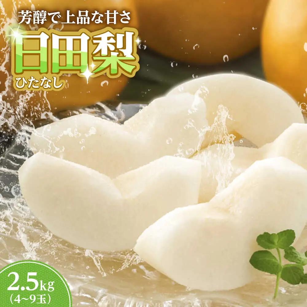 旬の梨 約2.5kg  ARET007 日田 梨