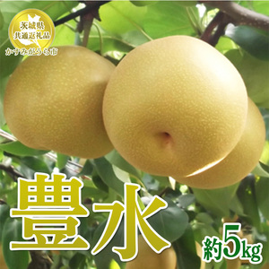 【先行予約限定】 茨城県産【豊水梨】約5kg【茨城県共通返礼品　かすみがうら市産】※2025年8月下旬～9月下旬頃に順次発送予定 ※離島への配送不可