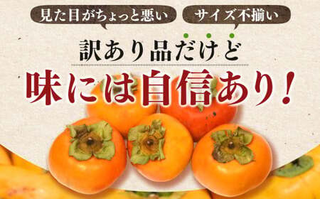 訳あり たねなし柿 約10kg （ 40~50個 ) 大人気 | 種無し たねなし 柿 フルーツ 果物 くだもの カキ かき 農家直送 家庭用 フードロス 秋の味覚 旬 大小混合 奈良県 五條市 まろ