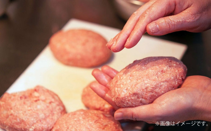 自家製ハンバーグ (8人前) ハンバーグ 肉 冷凍 惣菜 ギフト  牛肉 おかず 小分け 豚肉 プレゼント 贈答 はんばーぐ
