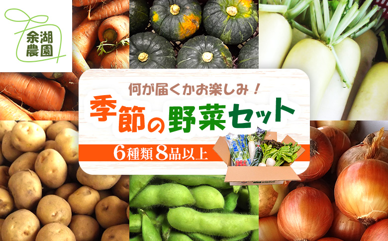 北海道産季節の野菜詰め合わせ 6種類8品【31006AA0101】
