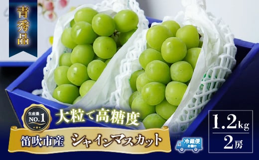 ＜25年発送先行予約＞大房『シャインマスカット』 山梨県産ぶどう 青秀品 2房 計約1.2kg 化粧箱入 ※冷蔵 JAふえふき 203-009