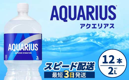 アクエリアス PET 2L×12本(6本×2ケース) 最短3日で発送 スポーツドリンク スポーツ飲料 清涼飲料水 水分補給 ペットボトル 箱買い まとめ買い 014019