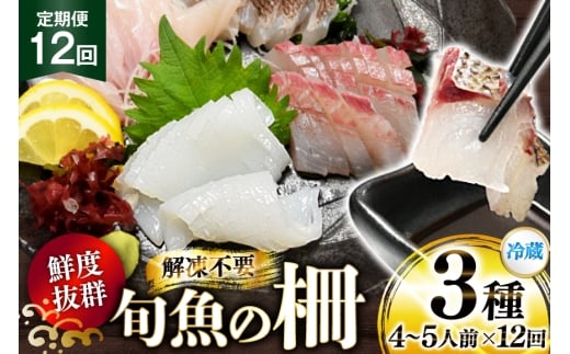 刺身 鮮魚 旬魚 の柵3種 セット （刺身2種＆ イカ 1種）（4～5人前） 12回 定期便 [舘浦漁業 長崎県 平戸市 hr42bgy420062] おつまみ 柵 冷蔵 新鮮 海鮮 盛り合わせ 旬 切るだけ 真空パック