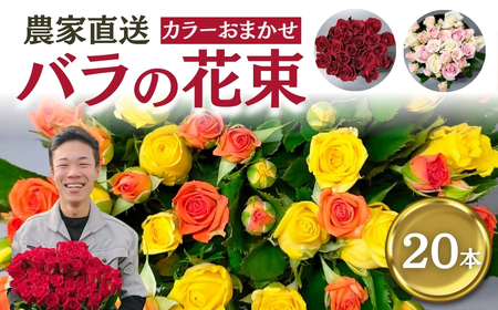 バラ 花束 20本  おまかせ ラッピング有 花
