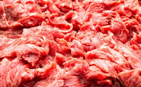 佐賀牛 艶さし！【A4～A5】佐賀牛切り落とし 1kg(500gx2p） 肉 お肉 牛肉 和牛 牛 ※配送不可：離島 