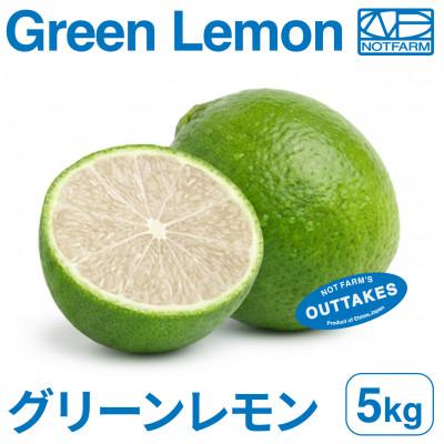 ふるさと納税 八幡浜市 【美味しさそのまま】訳ありグリーンレモン 5kg【防腐剤・ワックス不使用】璃の香【99-33】
