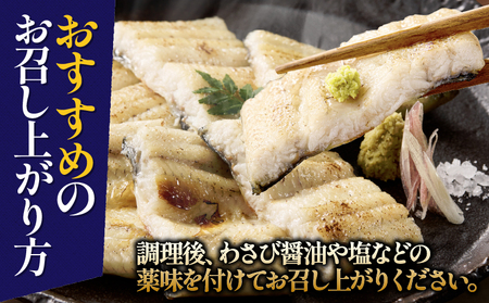 2080-1 鹿児島県 大隅産 うなぎ 白焼き 3尾  計360g 【 3ヶ月 定期 】 KN007-T02 魚 冷凍 鰻
