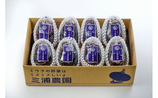 【先行予約】Premium水なすセット【新鮮 野菜 泉佐野産 茄子 やさい 高評価 数量限定】