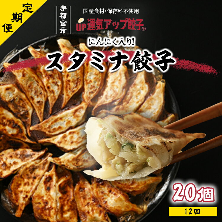 【ふるさと納税】【定期便12回】宇都宮餃子 運気アップ餃子 スタミナ餃子　保存料不使用 【ぎょうざ ギョウザ ギョーザ 冷凍食品 冷凍餃子 惣菜 夜ご飯 おかず おつまみ 手軽 時短 お取り寄せ グルメ 送料無料 】※配送不可地域：離島