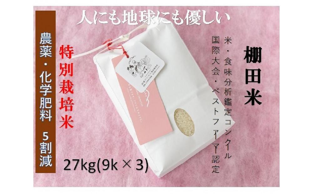 【令和8年産先行予約】【農薬化学肥料5割減】魚沼産コシヒカリ 苗場プリンセス 特別栽培米 精米 27kg（9kg×3袋）127523-019
