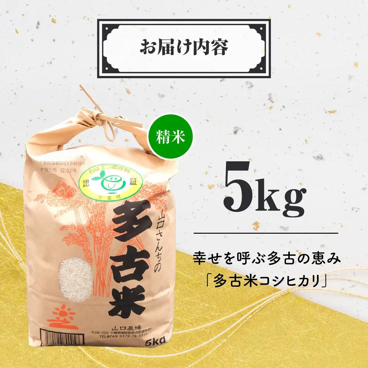 山口さんちの【令和8年産】多古米コシヒカリ(精米)5kg_ 精米 米  【配送不可地域：離島・沖縄県】TAKF043