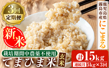 K-391-E 【3回定期便】＜令和7年産新米 先行予約受付中！2025年12月以降順次発送予定＞てまひま米・玄米(品種:にこまる)(計15kg：5kg×3回)【末蜜農園】霧島市 お米 玄米 米 こめ コメ ご飯 ごはん 定期便 栽培期間中農薬不使用